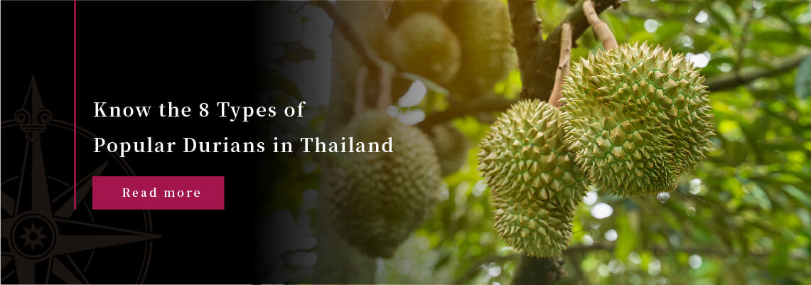 8 Most Popular Types of Thai Durians